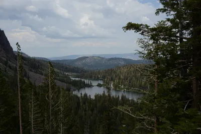 DSC_2938 (Large).JPG